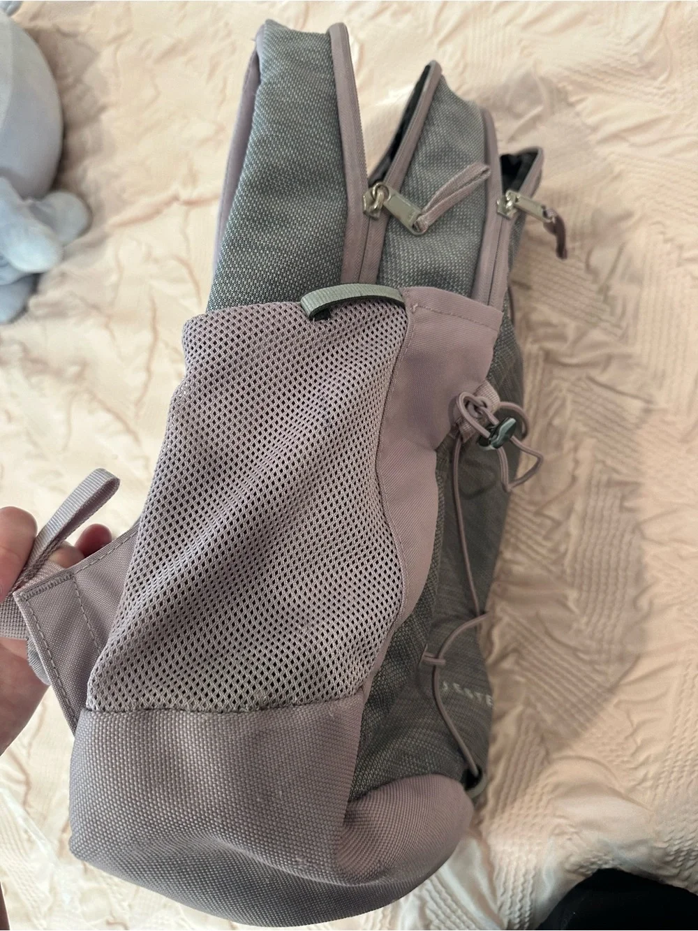 The North Face Jester Backpack in Gray and Mauve